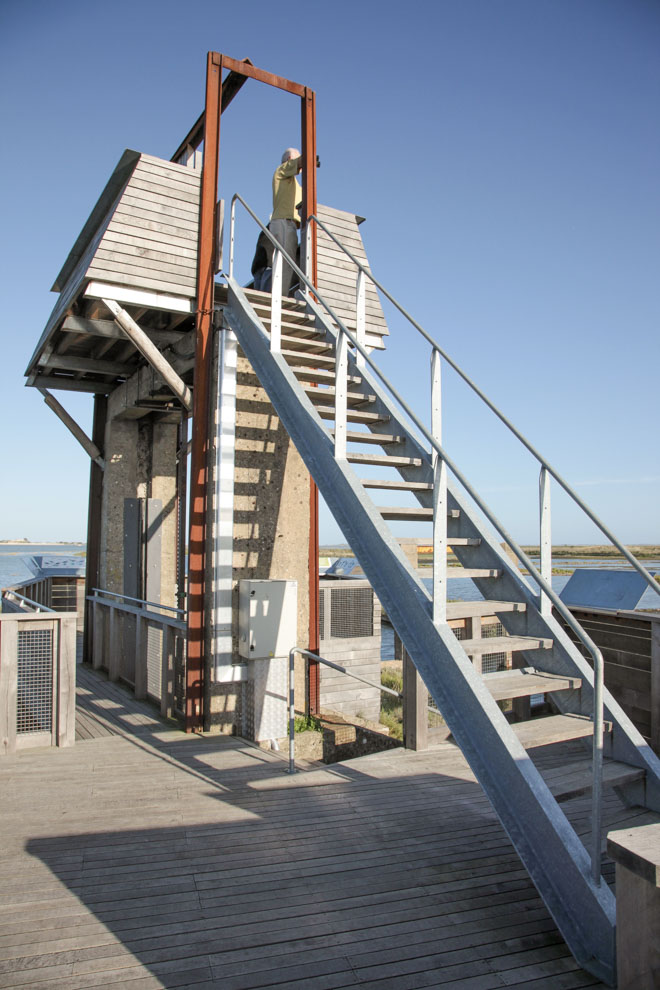 voir les oiseaux Observatoire Pointe d&apos;Arcay