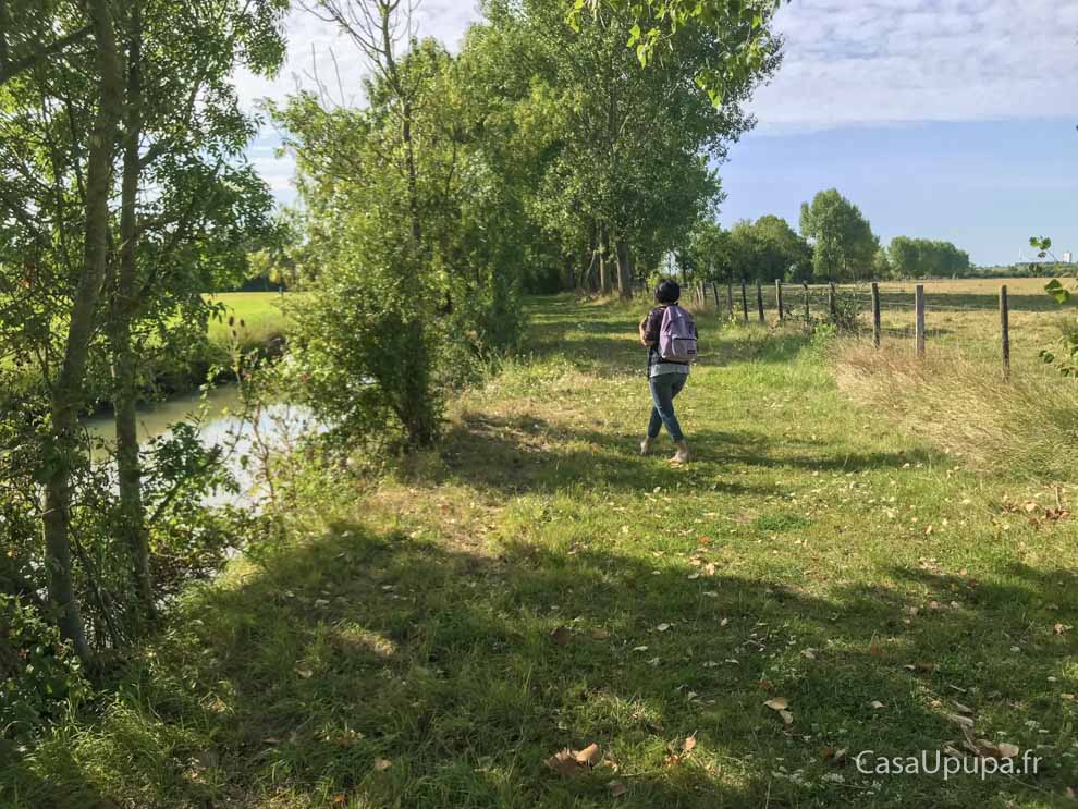 Chambre d&apos;hôtes avec randonnée pédestre en Vendée