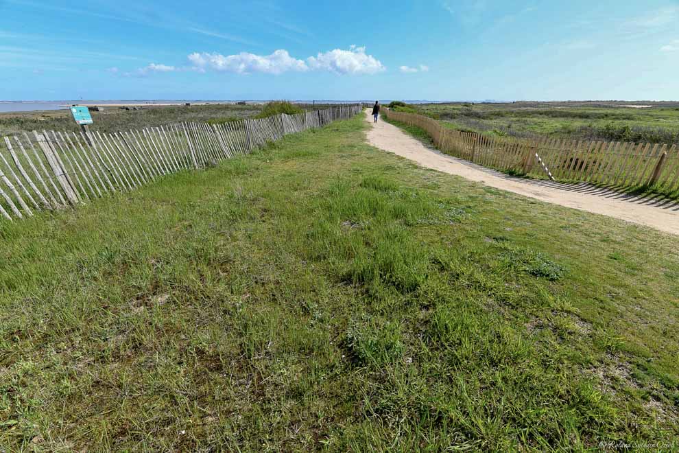 Chambres d'hôtes proches de la Pointe de l'Aiguillon